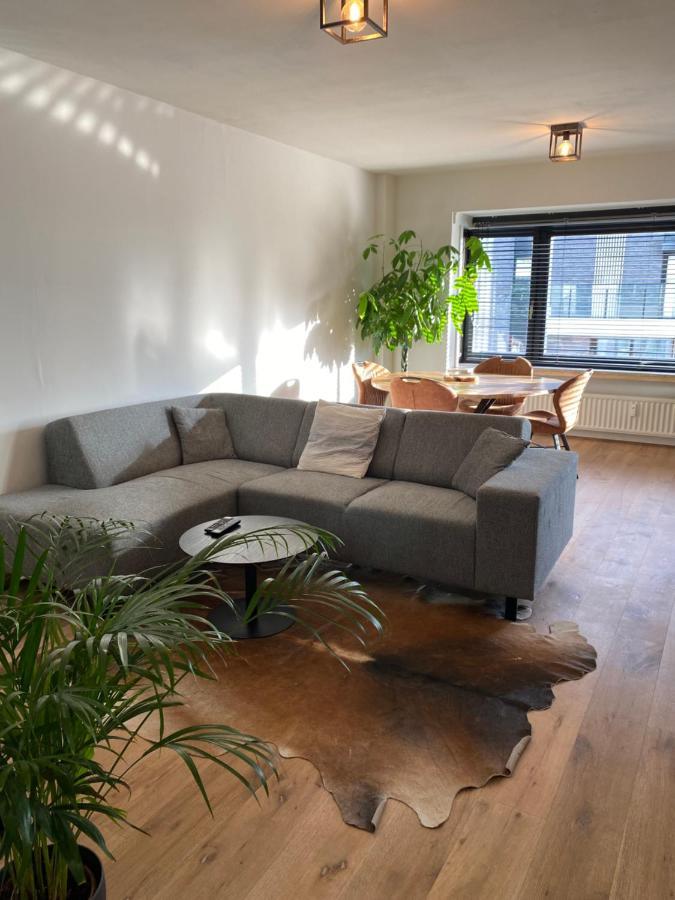 Casa Leon Apartment *